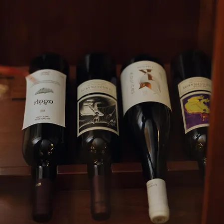 Отель Agnanti Velventos