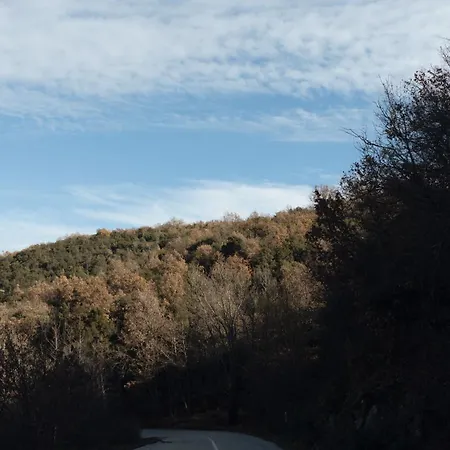 Agnanti