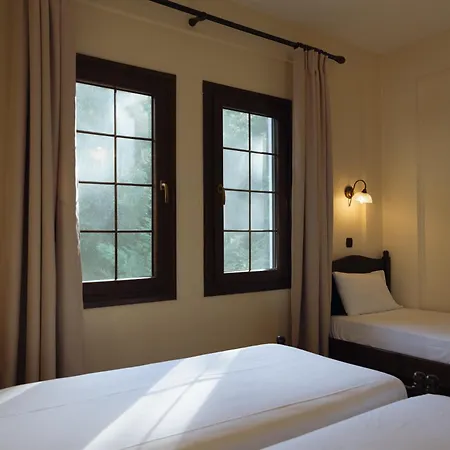 Отель Agnanti Velventos