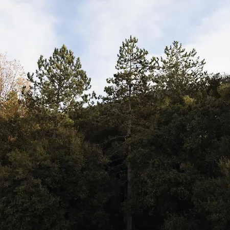 Agnanti Velventós