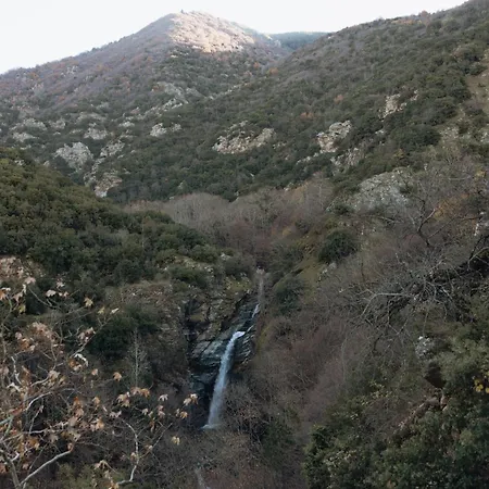 Agnanti