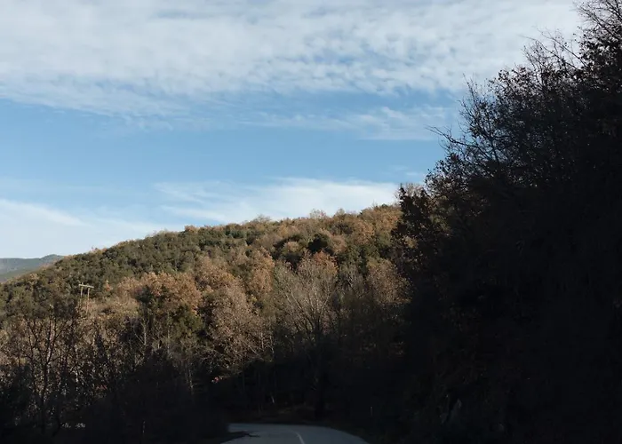 Agnanti