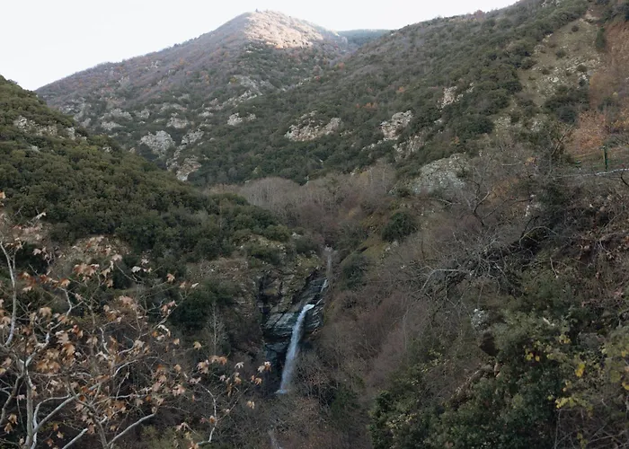 Agnanti